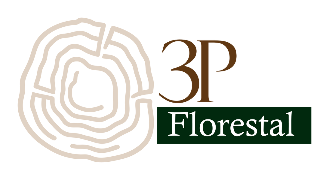 3P Florestal
