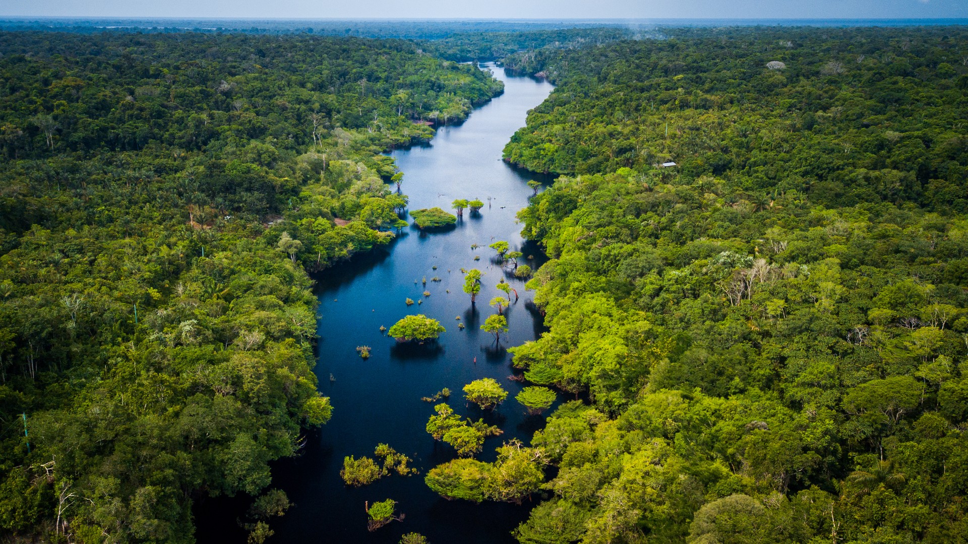 Floresta amazônica em área de projeto em desenvolvimento