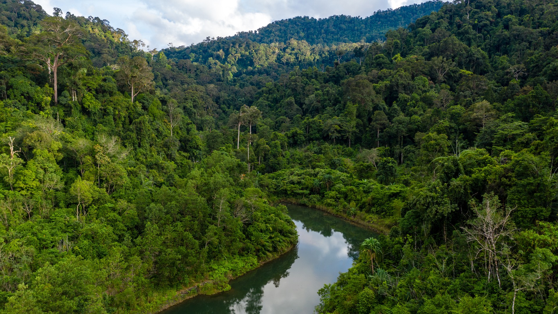 Área de floresta amazônica de propriedade particular em estruturação