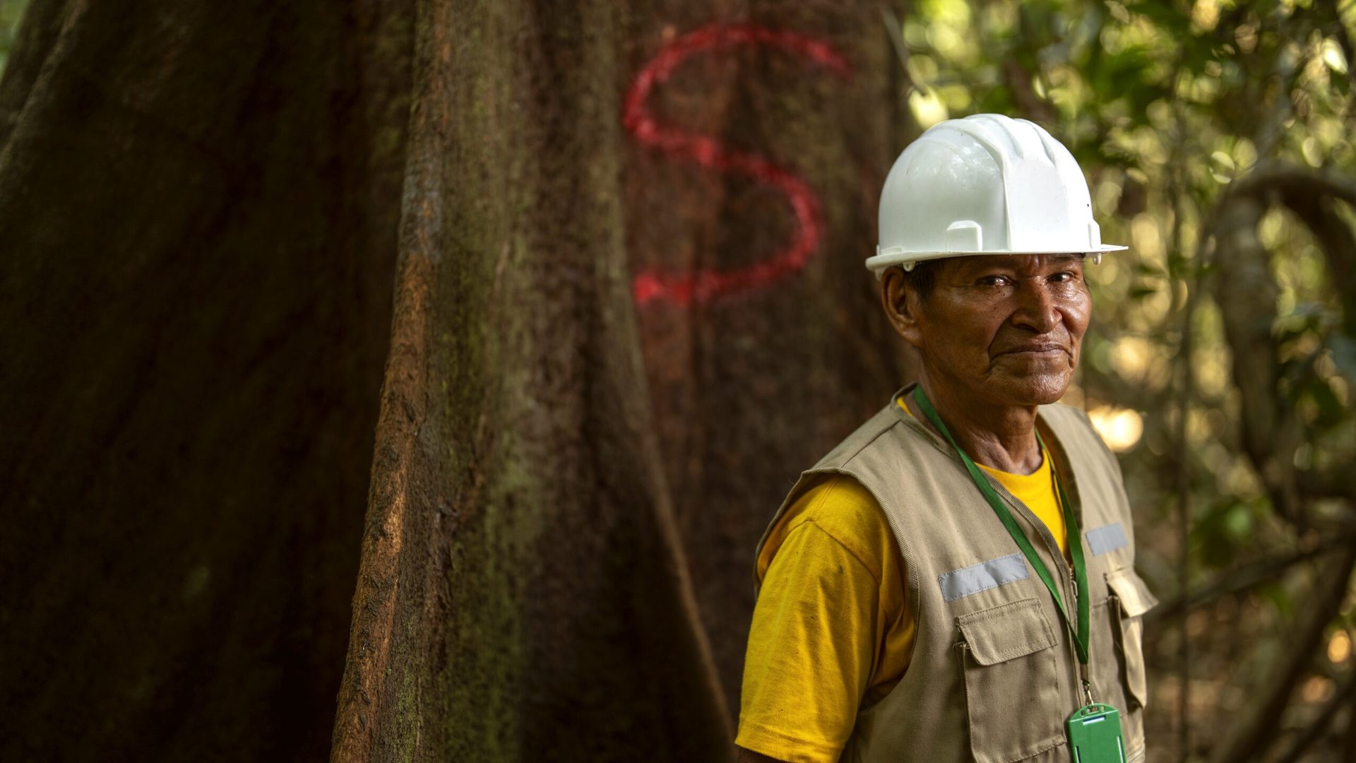 Technical team conducting sustainable forest management operations in the field