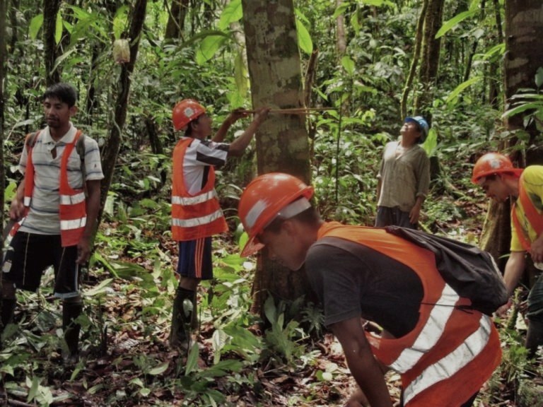Forest inventory conducted in the field